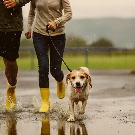 Bps #6 View Appartamento *