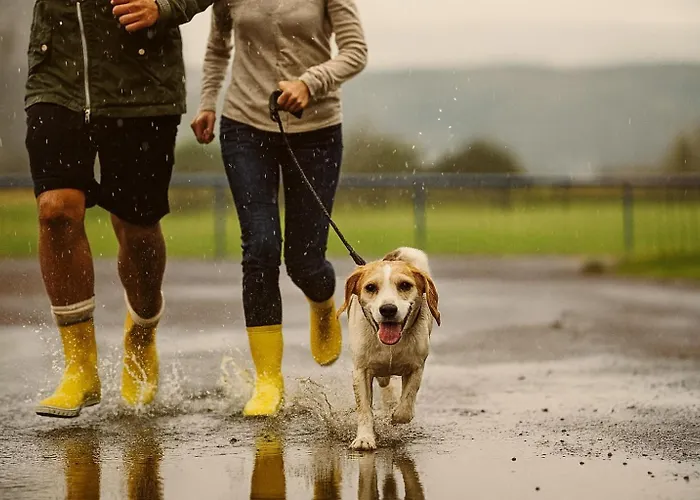 Bps #6 View Lägenhet *